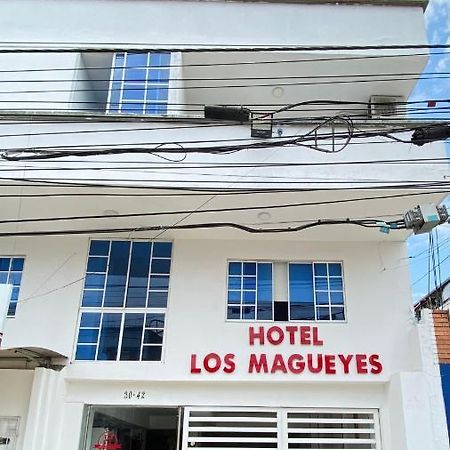 Hotel Los Magueyes 布卡拉曼加 外观 照片