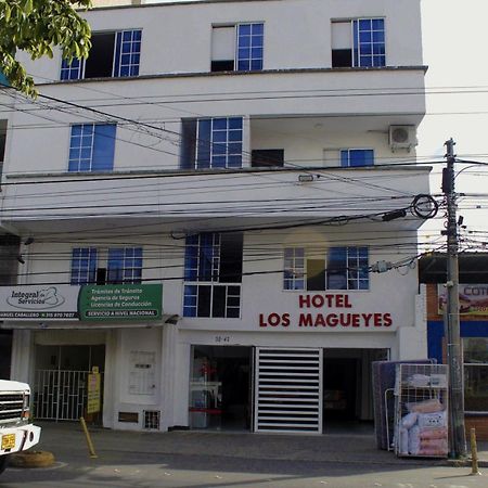 Hotel Los Magueyes 布卡拉曼加 外观 照片
