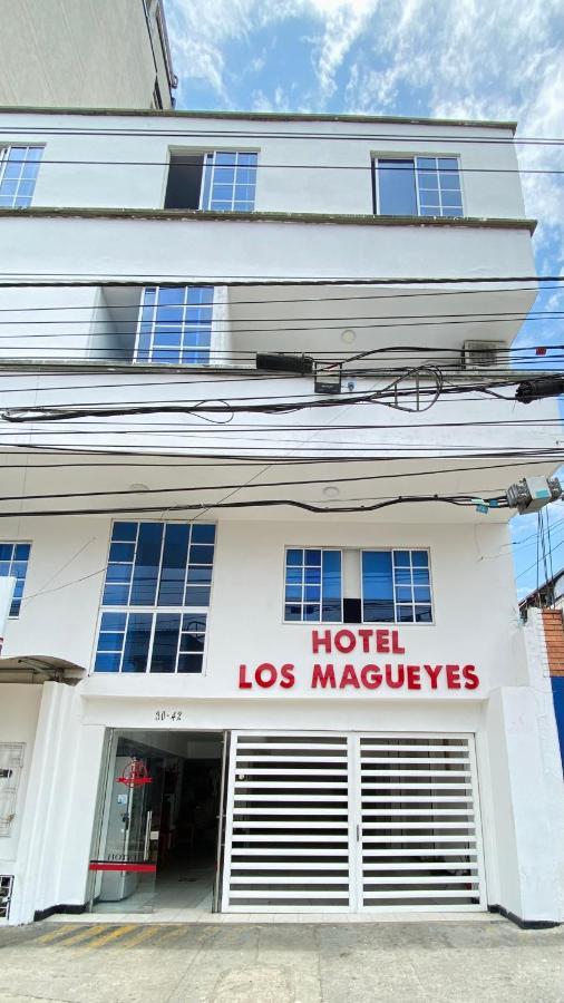 Hotel Los Magueyes 布卡拉曼加 外观 照片