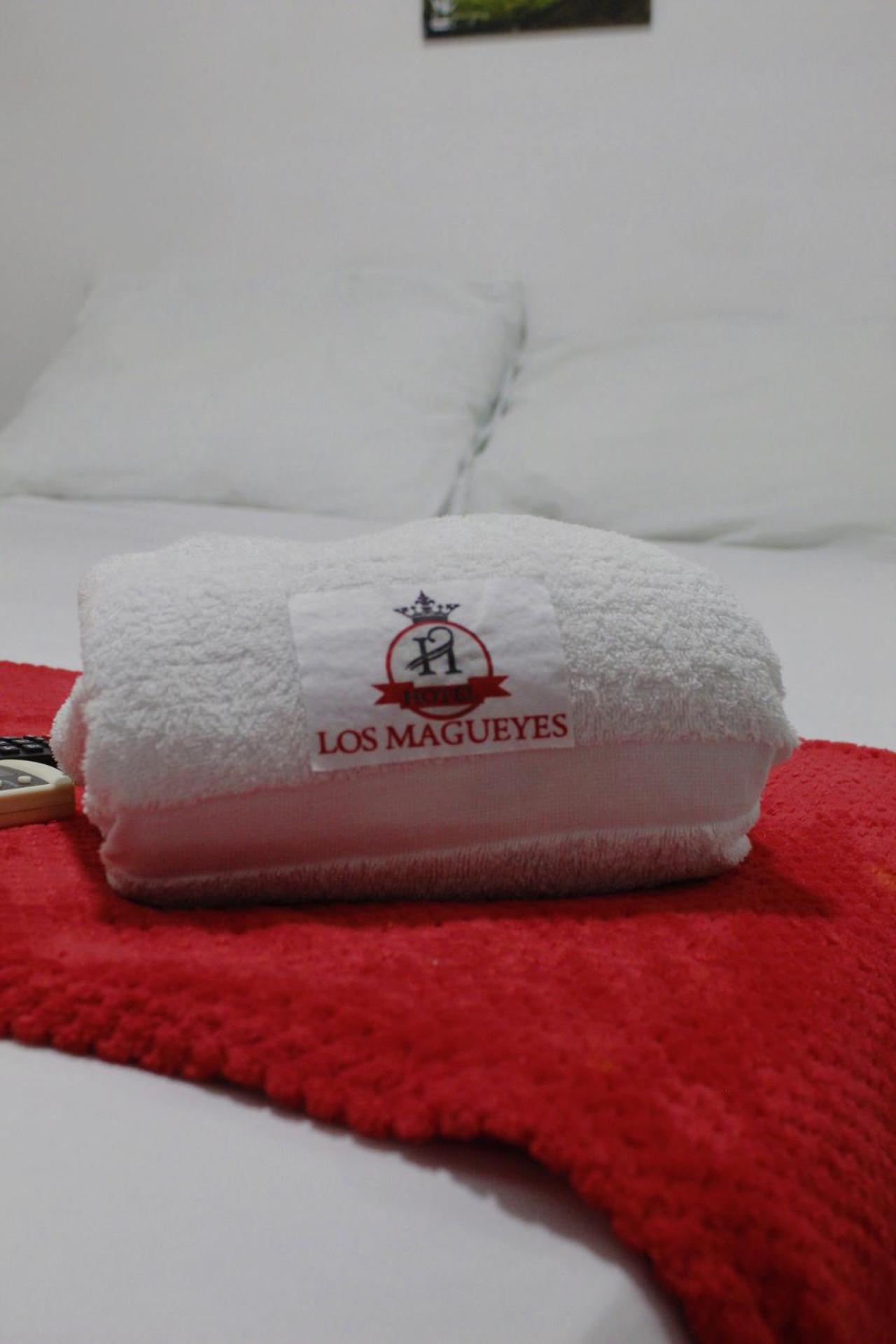 Hotel Los Magueyes 布卡拉曼加 外观 照片